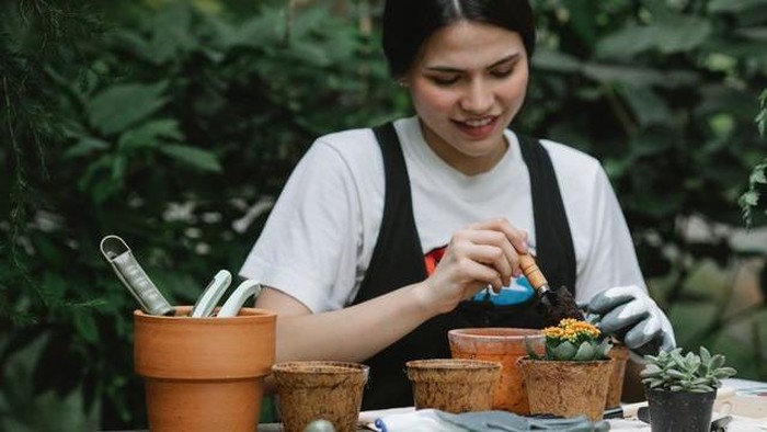 5 Hobi yang Diam-diam Bisa Bikin Boncos, Lanjut atau Stop 'In This Economy'?