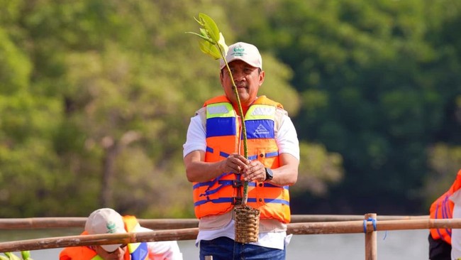 Miris! 52.000 Ha Mangrove RI Rusak Tiap Tahun, Trenggono Bilang Begini