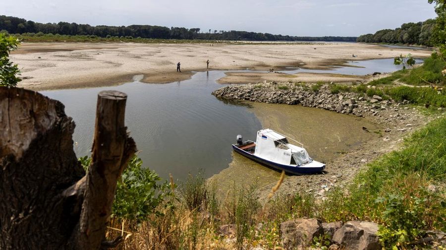 Orang-orang berdiri di atas gundukan pasir nan baru muncul di Sungai Danube saat permukaan air menurun selama cuaca panas dan kondisi kering nan berkepanjangan, di Apatin, Serbia, 26 Juli 2026.