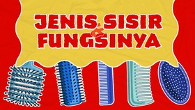 INFOGRAFIS: Jenis Sisir dan Fungsinya