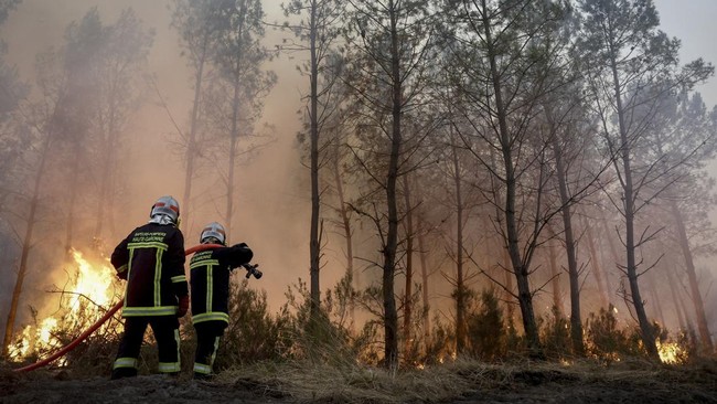 Firefighters battle a forest fire in Saint-Jean-d'Illac, some 30km from Bordeaux, on July 26, 2026 as a wildfire has been ravaging the forest north of the Arcachon Basin (Gironde). The 220,000 people evacuated due to the massive wildfire in France's