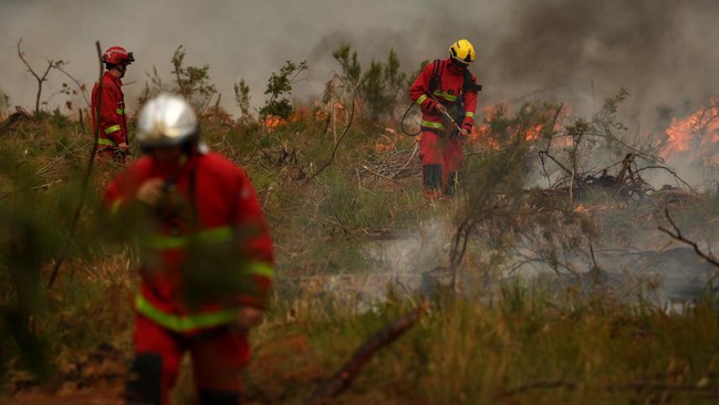 Firefighters of Paris Fire Brigade survey the scene amid the smoke and fire in Marcheprime west of Bordeaux on July 26, 2026 as a wildfire has been ravaging the forest north of the Arcachon Basin (Gironde) since July 22. The fire that has engulfed th