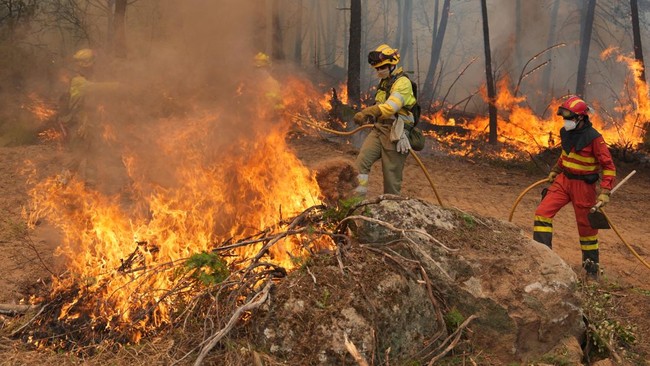 Spain's Military Emergencies Unit (UME) and Castilla-y-Leon unit's firefighters battle a fire in a forest next to La Atalaya residential area in El Tiemblo, 80 kms west of Madrid, on July 25, 2026 amid wildfires that have burned up to 25,000 hectares