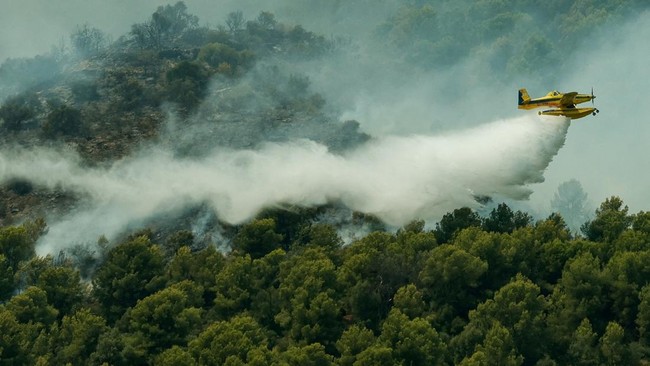 A firefighting plane makes a drop during a wildfire in Betxi, Spain, July 26, 2026. REUTERS/Eva Manez