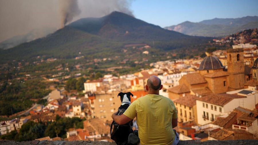 Seorang laki-laki dan anjingnya memandang kebakaran rimba di pegunungan di Onda, Spanyol, 27 Juli 2026. (REUTERS/Pedro Nunes)
