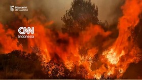 Kebakaran hutan di Castellon, Spanyol Timur pada Senin (27/7) telah menghanguskan sekitar 8.500 hektare lahan.