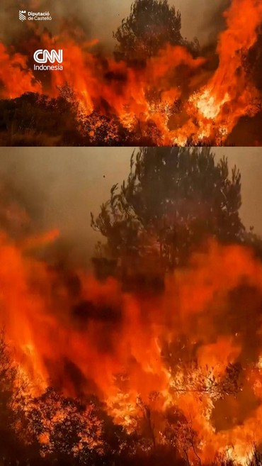 Kebakaran hutan di Castellon, Spanyol Timur pada Senin (27/7) telah menghanguskan sekitar 8.500 hektare lahan.