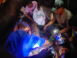 Pria di Kepulauan Sula Tewas Ditelan Ular Piton dalam Hutan