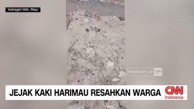 Keyword YouTube: jejak kaki harimau sumatra, harimau sumatra, Desa Sungai Danai, Riau, warga resah, satwa liar, konflik manusia dan harimau, berita Riau, berita terbaru, berita hari ini
Kemunculan jejak kaki harimau Sumatra meresahkan warga di Desa