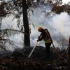 Personel BPBD Kabupaten Kubu Raya menyemprotkan air ke lahan gambut yang terbakar di kawasan Bumi Serdam Indah, Kecamatan Sungai Raya, Kabupaten Kubu Raya, Kalimantan Barat, Rabu (29/7/2026). BPBD Kalimantan Barat menyatakan bahwa status siaga darura