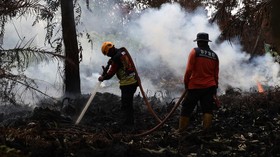 Kebakaran hutan di Ketapang, Kalimantan Barat, menyebabkan satu korban meninggal dan seorang luka bakar. Upaya pemadaman terus dilakukan.
