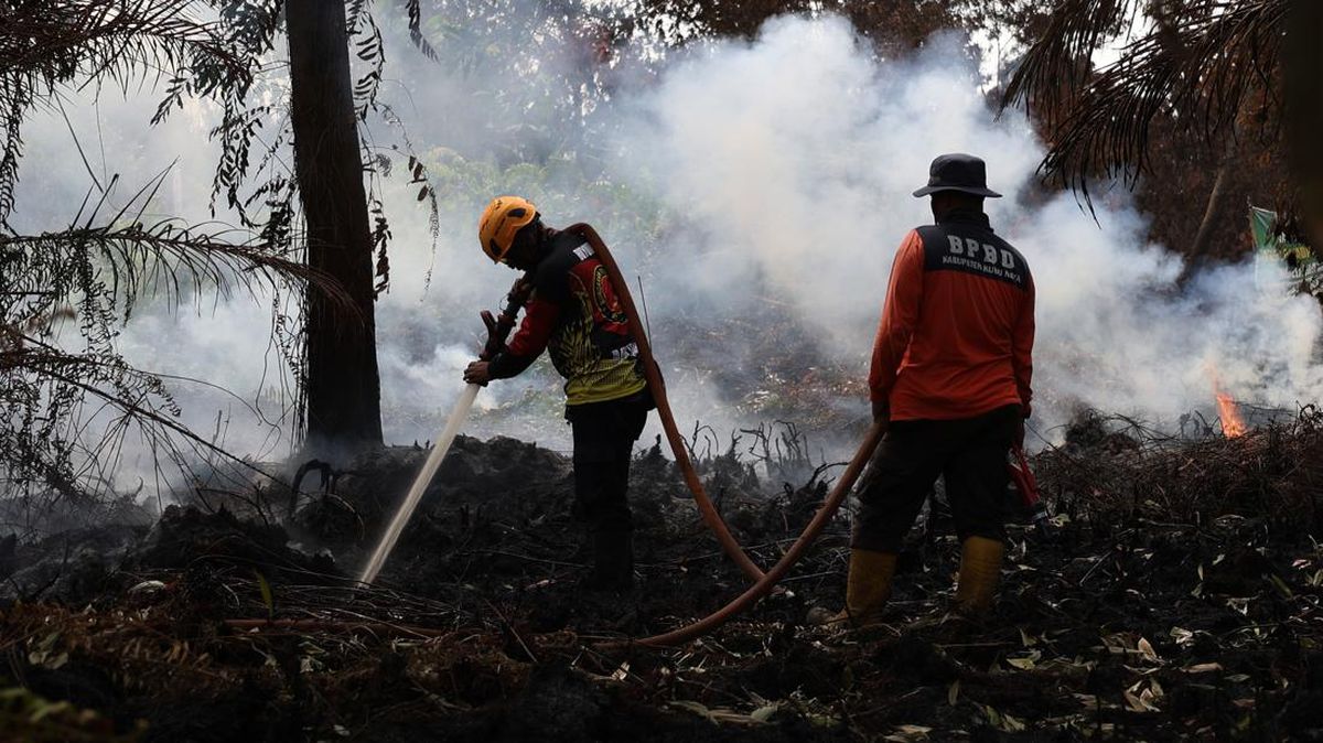 Karhutla Ketapang Kalbar, Satu Orang Dilaporkan Tewas