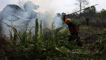 BMKG Sebut Asap Karhutla Kalbar Berpotensi Menyeberang ke Malaysia