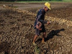 Susah Payah Petani Gunungkidul Dapatkan Air Bersih, Jual Ternak-Kuras Tabungan