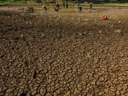 Gunungkidul Kekeringan, BPBD DIY Akui Tak Punya Anggaran Dropping Air Bersih