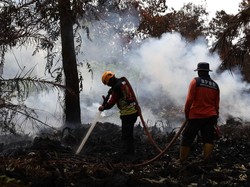 Bupati Kotim Ungkap Sulitnya Air Padamkan Karhutla: Parit-Sumur Bor Kering