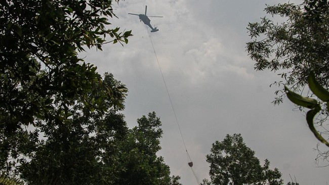 Kabut Asap Karhutla Selimuti Palangka Raya