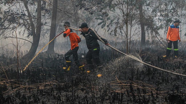 Kabut Asap Karhutla Selimuti Palangka Raya