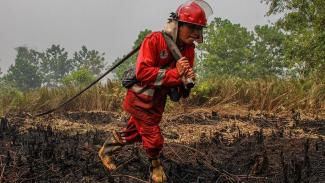 Kabut Asap Karhutla Selimuti Palangka Raya