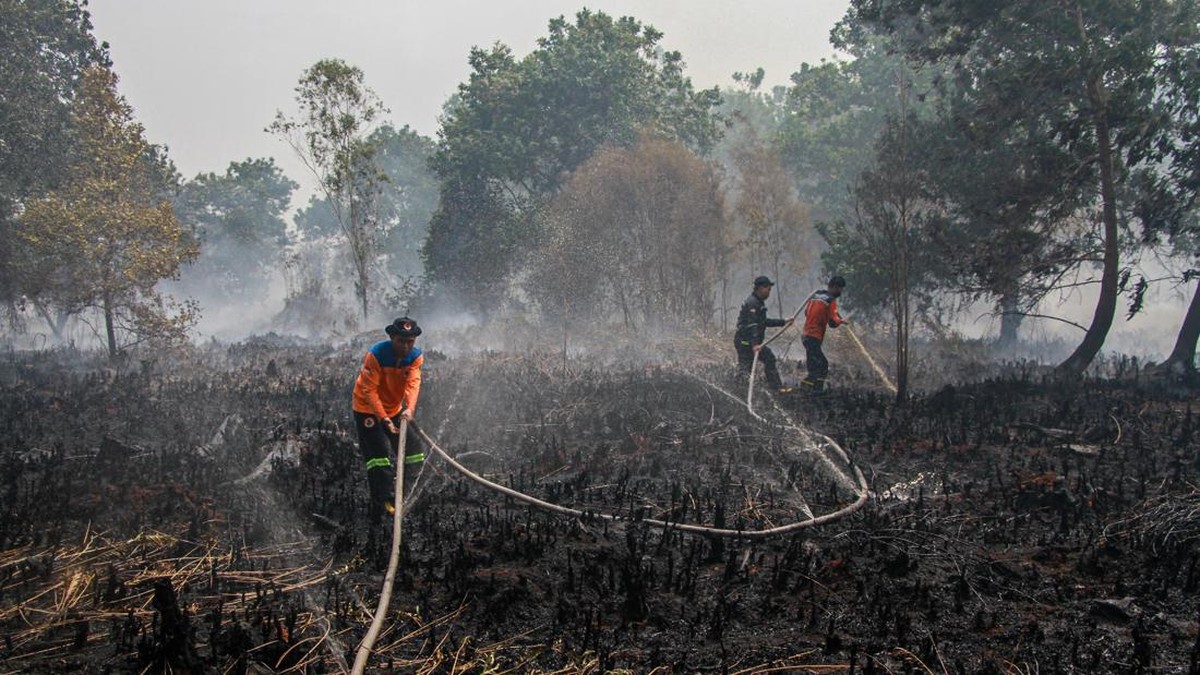 Kabut Asap Karhutla Selimuti Palangka Raya