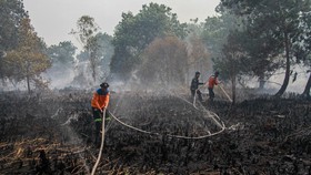 BMKG deteksi 5.019 titik panas karhutla hingga Juli 2026, meningkat signifikan dibanding tahun El Nino sebelumnya.