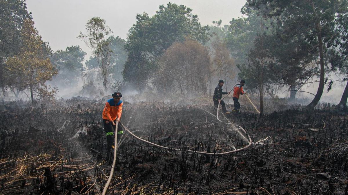 Palangka Raya Darurat Karhutla dan Kekeringan, Krisis Air Mulai Merebak