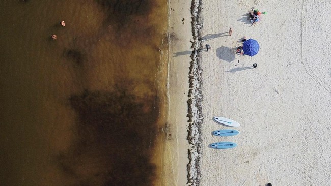 Sebuah rekaman dari drone memperlihatkan para wisatawan di tepi pantai sementara ganggang sargassum mengubah warna air di sepanjang pantai Karibia Meksiko.