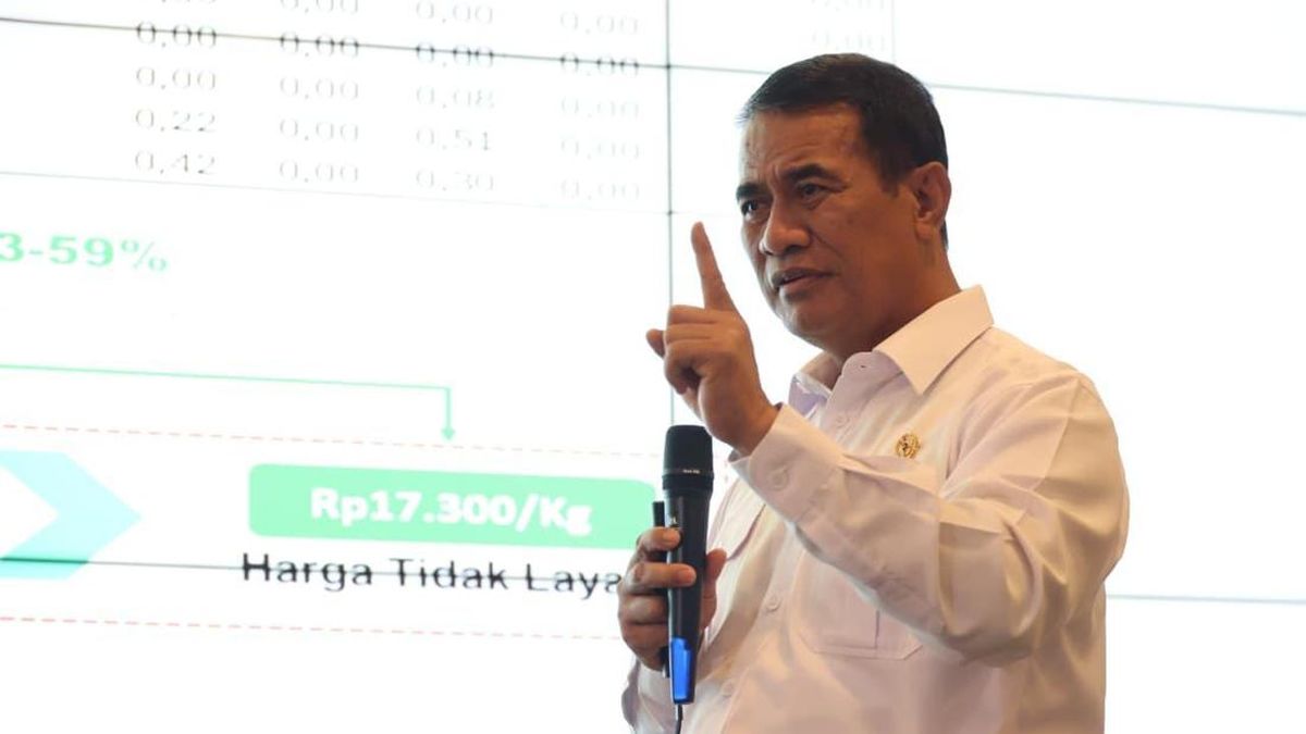 Amran Ajak Organisasi Pemuda 'Gebuk' Dugaan Mafia Beras Fortifikasi