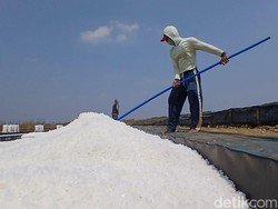 Petani Garam di Brebes Sambat Harga Anjlok Jadi Rp 900 Per Kg