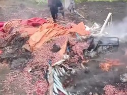 Petani Bawang Dikeroyok Massa di Dompu Buntut Isu Pencabulan