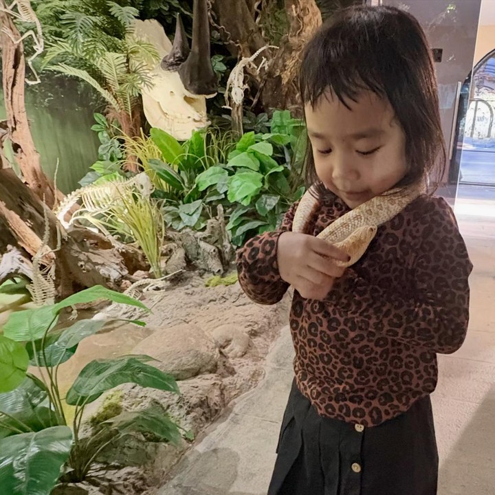<p>Dalam satu foto, Sanee terlihat berani bermain dengan ular. Bocah empat tahun ini sama sekali tidak takut saat ular diletakkan di pundaknya. Sanee bahkan dengan santainya mengelus tubuh ular sambil menyandarkannya di tangan. (Foto: Instagram: @dea_ananda)</p>