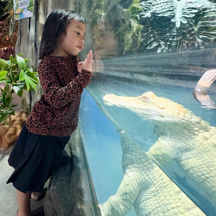 <p>Keputusan Dea dan suami mengenalkan hewan ke anaknya sejak dini berbuah hasil manis, Bunda. Sanee yang kini sudah berusia empat tahun tak takut untuk melihat dan berinteraksi langsung dengan hewan. (Foto: Instagram: @dea_ananda)</p>