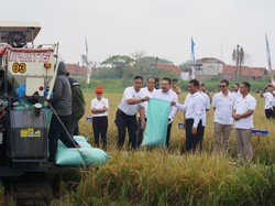 Kawal Ketahanan Pangan, Kejagung Luncurkan Early Warning System Jaga Desa