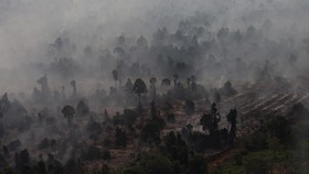 Kualitas udara di Kubu Raya, Kalimantan Barat, terpantau berbahaya dengan konsentrasi PM2.5 mencapai 276g/m.