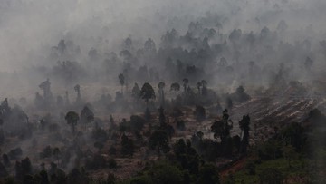 Air Quality in West Kalimantan Reaches Hazardous 'Black' Level Amidst Fires