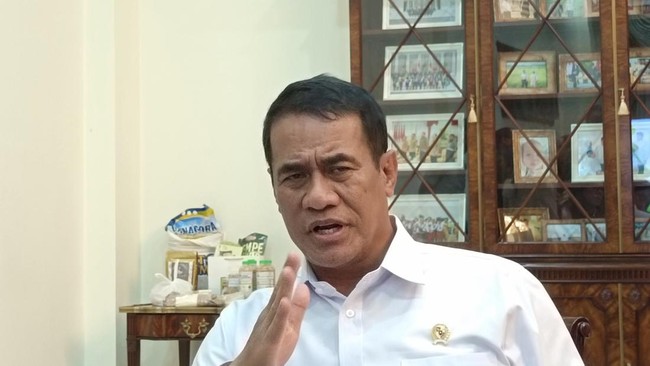 Amran Tebar Ancaman, Mau Gebuk Pengusaha Beras Fortifikasi Nakal