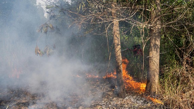 Pemadaman Kebakaran Lahan di Ogan Ilir