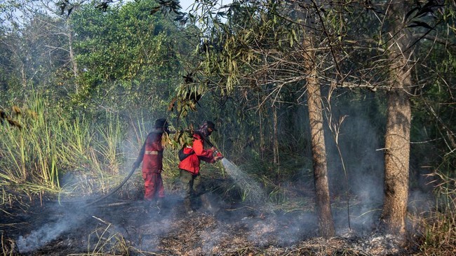 Pemadaman Kebakaran Lahan di Ogan Ilir