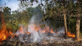 Pemadaman Kebakaran Lahan di Ogan Ilir