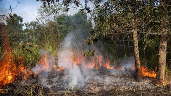 Pemadaman Kebakaran Lahan di Ogan Ilir