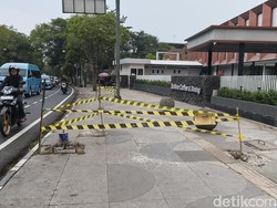 Pengelola Lapangan Padel Bakal Dipanggil Buntut Tebang Pohon Sembarang
