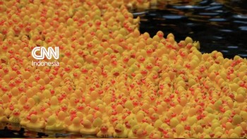 Ribuan bebek karet berlomba menuju garis finis di London pada Kamis (30/7).