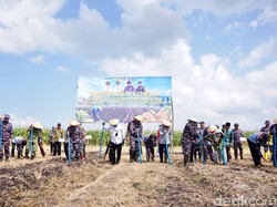 Banyuwangi Jadi Pilot Project Penanaman Kedelai 1.200 Hektare