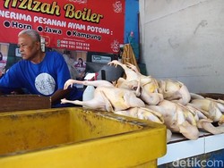Harga Ayam Broiler di Probolinggo Naik Jadi Rp38 Ribu per Kg