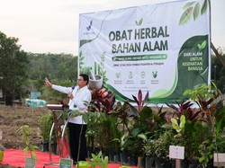 Kepala BPOM Resmikan Pusat Tanaman Obat Bahan Alam di Palembang Seluas 21 Ha