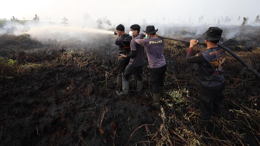 Tim campuran Satgas Darat berjibaku memadamkan api dan mendinginkan lahan gambut nan terbakar di Desa Tumbangnusa, Kecamatan Jabiren Raya, Kabupaten Pulang Pisau, Kalimantan Tengah, Jumat (31/7). (Dok BNPB)