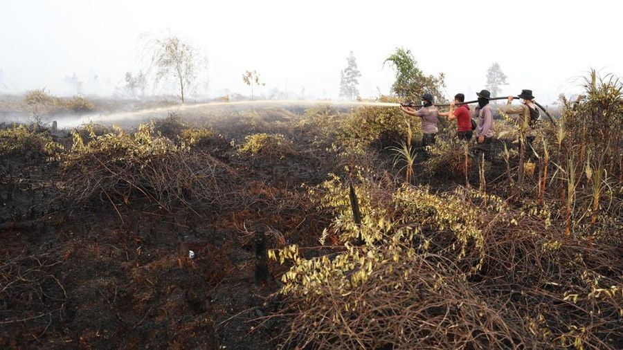 Tim campuran Satgas Darat berjibaku memadamkan api dan mendinginkan lahan gambut nan terbakar di Desa Tumbangnusa, Kecamatan Jabiren Raya, Kabupaten Pulang Pisau, Kalimantan Tengah, Jumat (31/7). (Dok BNPB)