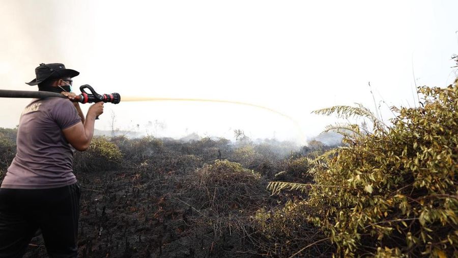 Tim campuran Satgas Darat berjibaku memadamkan api dan mendinginkan lahan gambut nan terbakar di Desa Tumbangnusa, Kecamatan Jabiren Raya, Kabupaten Pulang Pisau, Kalimantan Tengah, Jumat (31/7). (Dok BNPB)