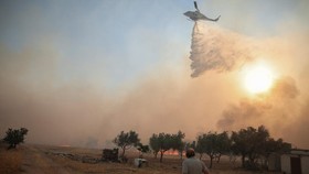 A resident looks on as a helicopter makes a water drop as a wildfire burns in the Megara valley, Greece, August 2, 2026. REUTERS/Louisa Gouliamaki