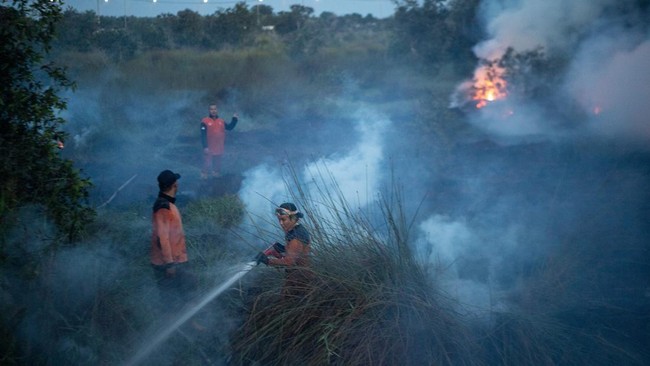 Petugas dari Badan Penanggulangan Bencana Daerah (BPBD) Provinsi Sumatera Selatan berusaha memadamkan kebakaran lahan di Desa Palem Raya,  Kecamatan Indralaya Utara, Ogan Ili (OI), Sumatera Selatan, Sabtu (1/8/2026). Petugas gabungan dari Manggala Ag